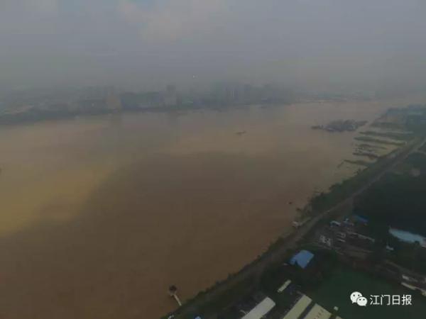 洪峰抵达前,西江水体较浑浊。.webp.jpg 洪峰抵达前,西江水体较浑浊。.webp.jpg